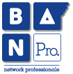 Business Angel Network Professionale